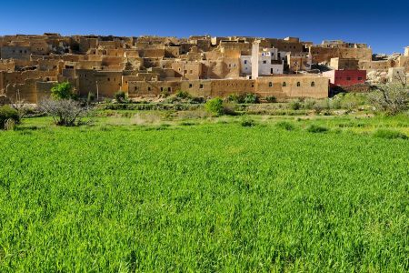 LES JARDINS DU SUD MAROCAIN EN 07 NUITS ET 08 JOURS